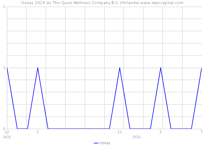 Visitas 2024 de The Quiet Wellness Company B.V. (Holanda) 