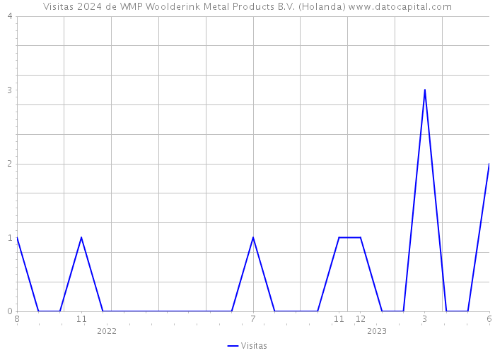 Visitas 2024 de WMP Woolderink Metal Products B.V. (Holanda) 