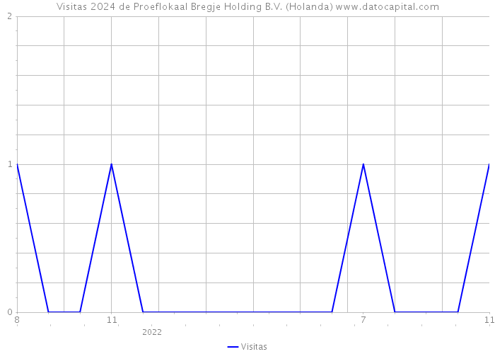 Visitas 2024 de Proeflokaal Bregje Holding B.V. (Holanda) 