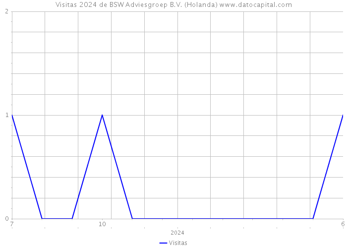 Visitas 2024 de BSW Adviesgroep B.V. (Holanda) 