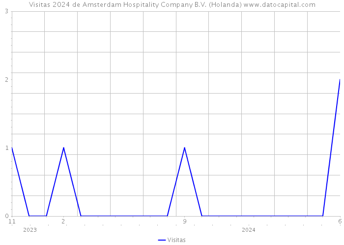 Visitas 2024 de Amsterdam Hospitality Company B.V. (Holanda) 