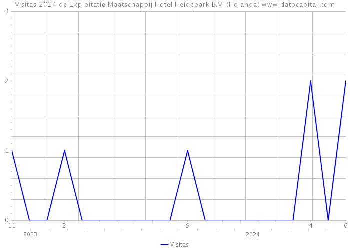 Visitas 2024 de Exploitatie Maatschappij Hotel Heidepark B.V. (Holanda) 