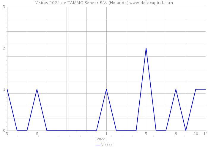 Visitas 2024 de TAMMO Beheer B.V. (Holanda) 