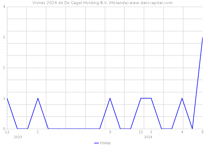 Visitas 2024 de De Gagel Holding B.V. (Holanda) 