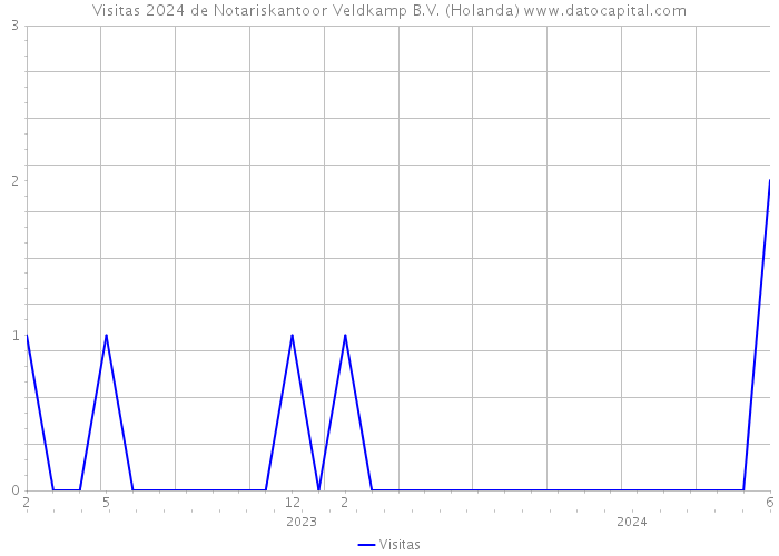 Visitas 2024 de Notariskantoor Veldkamp B.V. (Holanda) 