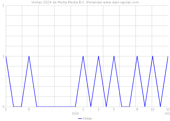 Visitas 2024 de Multa Media B.V. (Holanda) 