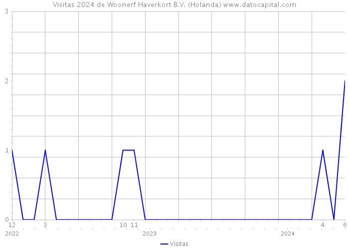 Visitas 2024 de Woonerf Haverkort B.V. (Holanda) 