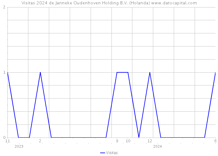 Visitas 2024 de Janneke Oudenhoven Holding B.V. (Holanda) 