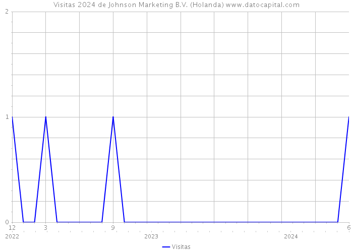 Visitas 2024 de Johnson Marketing B.V. (Holanda) 