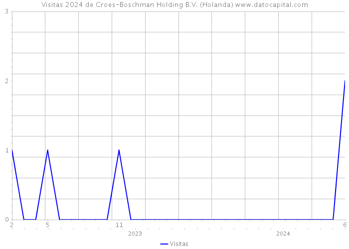 Visitas 2024 de Croes-Boschman Holding B.V. (Holanda) 