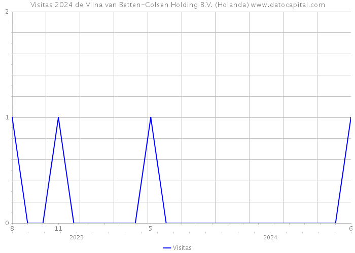 Visitas 2024 de Vilna van Betten-Colsen Holding B.V. (Holanda) 