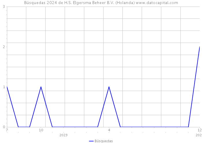 Búsquedas 2024 de H.S. Elgersma Beheer B.V. (Holanda) 