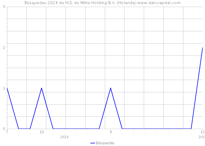 Búsquedas 2024 de H.S. de Witte Holding B.V. (Holanda) 