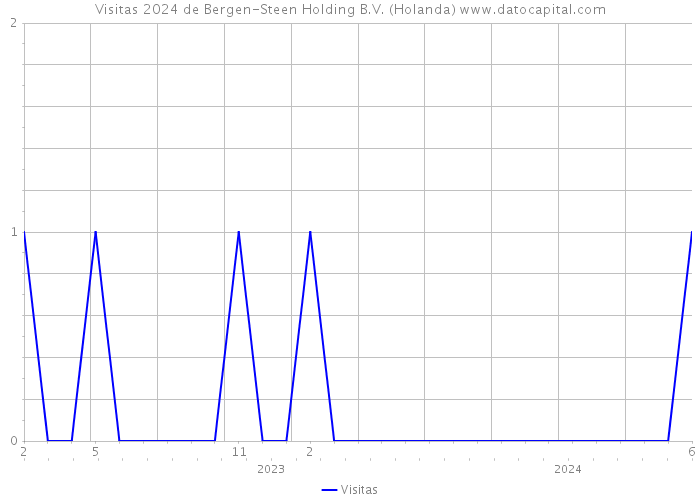 Visitas 2024 de Bergen-Steen Holding B.V. (Holanda) 