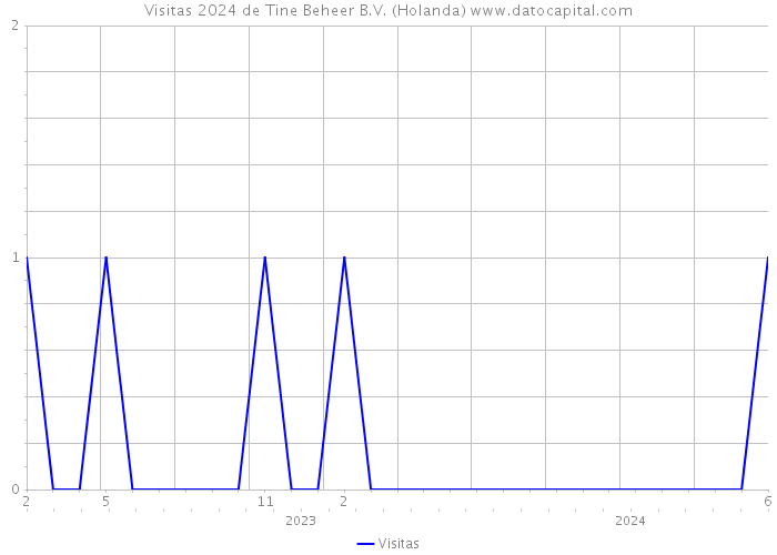 Visitas 2024 de Tine Beheer B.V. (Holanda) 