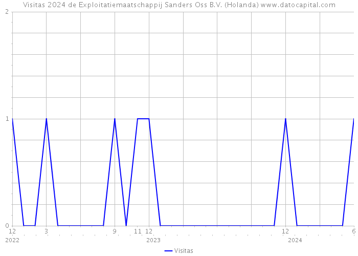 Visitas 2024 de Exploitatiemaatschappij Sanders Oss B.V. (Holanda) 