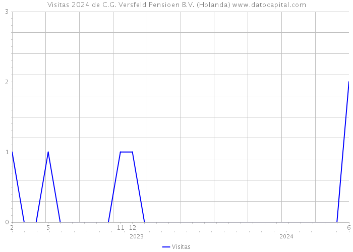 Visitas 2024 de C.G. Versfeld Pensioen B.V. (Holanda) 