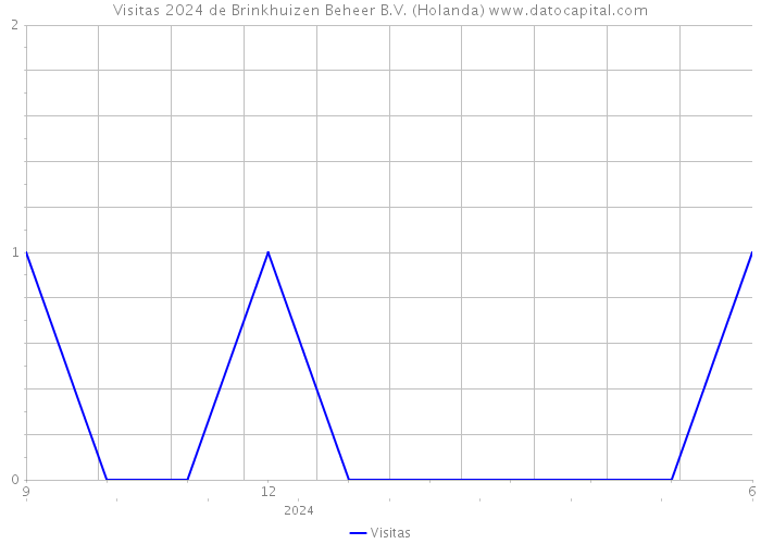 Visitas 2024 de Brinkhuizen Beheer B.V. (Holanda) 