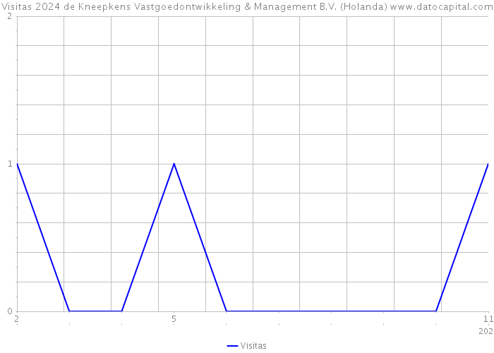 Visitas 2024 de Kneepkens Vastgoedontwikkeling & Management B.V. (Holanda) 