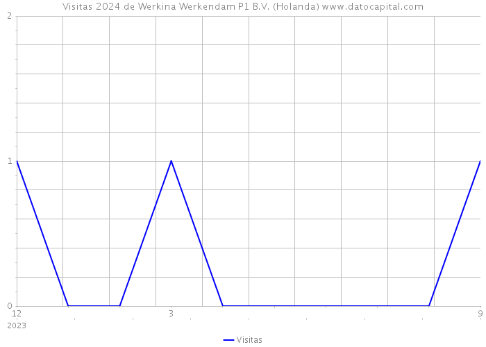 Visitas 2024 de Werkina Werkendam P1 B.V. (Holanda) 