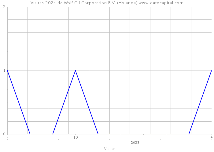 Visitas 2024 de Wolf Oil Corporation B.V. (Holanda) 