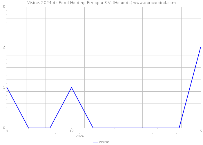 Visitas 2024 de Food Holding Ethiopia B.V. (Holanda) 