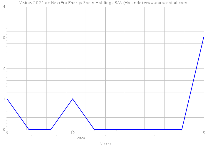 Visitas 2024 de NextEra Energy Spain Holdings B.V. (Holanda) 