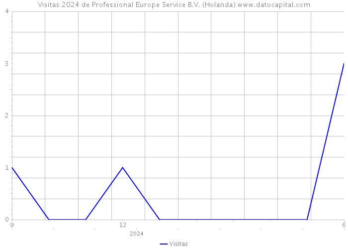 Visitas 2024 de Professional Europe Service B.V. (Holanda) 