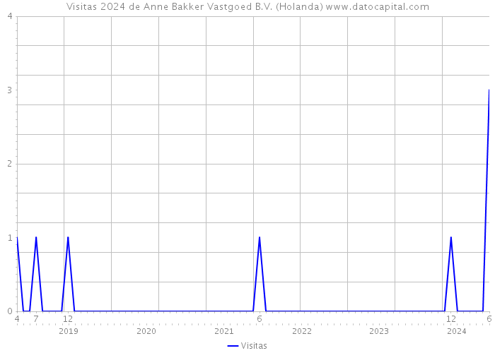 Visitas 2024 de Anne Bakker Vastgoed B.V. (Holanda) 