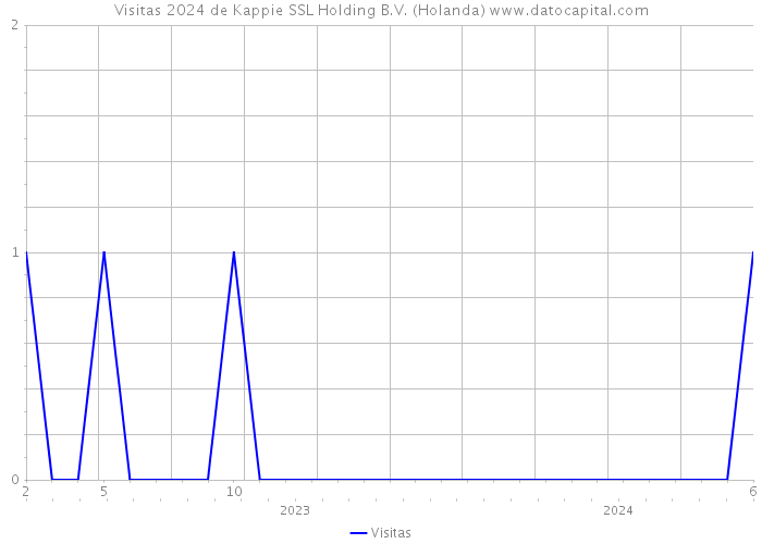 Visitas 2024 de Kappie SSL Holding B.V. (Holanda) 