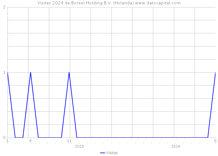 Visitas 2024 de Boreel Holding B.V. (Holanda) 