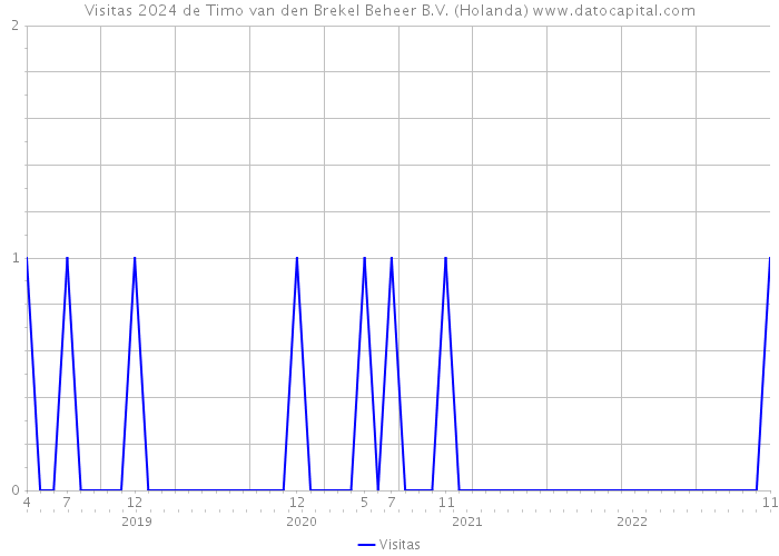 Visitas 2024 de Timo van den Brekel Beheer B.V. (Holanda) 