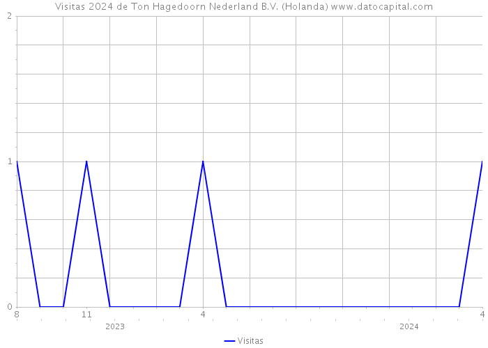 Visitas 2024 de Ton Hagedoorn Nederland B.V. (Holanda) 