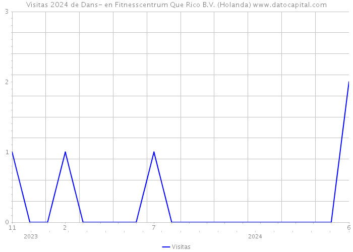 Visitas 2024 de Dans- en Fitnesscentrum Que Rico B.V. (Holanda) 