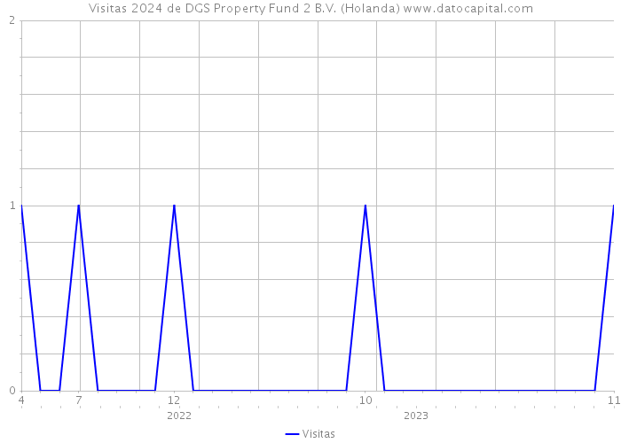 Visitas 2024 de DGS Property Fund 2 B.V. (Holanda) 