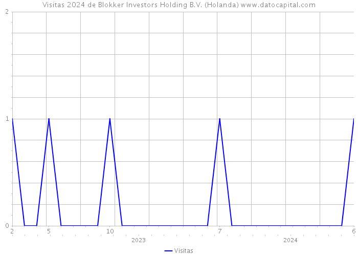 Visitas 2024 de Blokker Investors Holding B.V. (Holanda) 