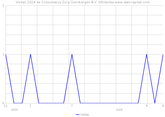 Visitas 2024 de Consultancy Zorg Giersbergen B.V. (Holanda) 