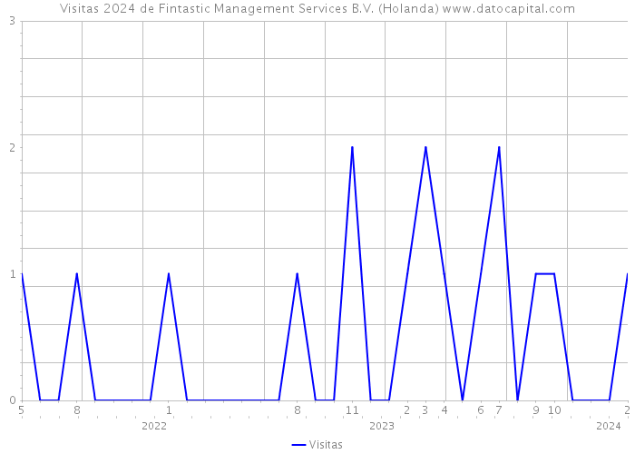 Visitas 2024 de Fintastic Management Services B.V. (Holanda) 