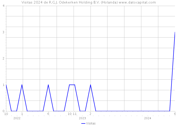 Visitas 2024 de R.G.J. Odekerken Holding B.V. (Holanda) 