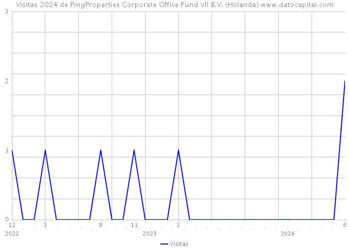Visitas 2024 de PingProperties Corporate Office Fund VII B.V. (Holanda) 