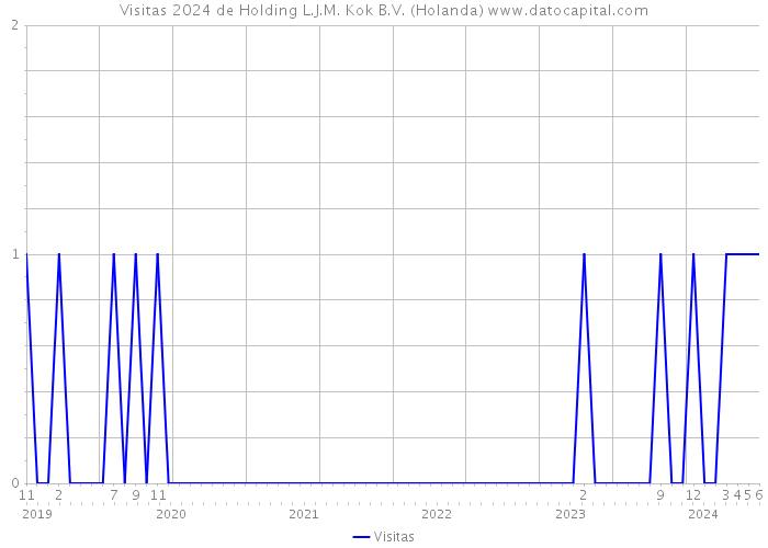 Visitas 2024 de Holding L.J.M. Kok B.V. (Holanda) 