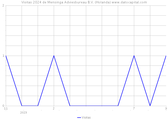 Visitas 2024 de Mensinga Adviesbureau B.V. (Holanda) 