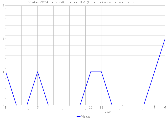 Visitas 2024 de Profitto beheer B.V. (Holanda) 