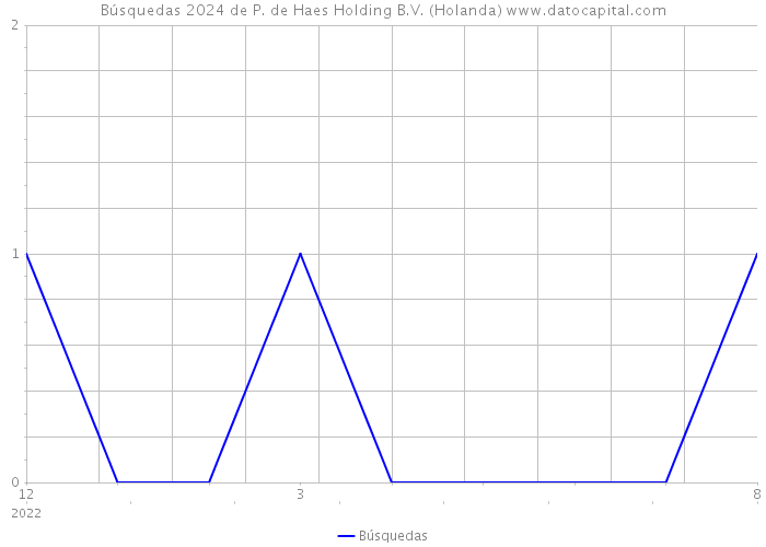 Búsquedas 2024 de P. de Haes Holding B.V. (Holanda) 