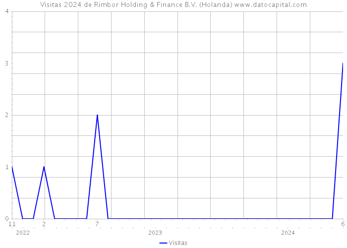 Visitas 2024 de Rimbor Holding & Finance B.V. (Holanda) 