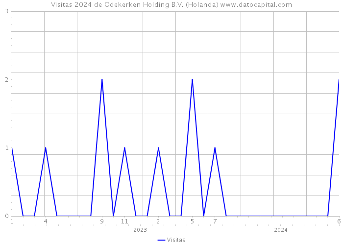 Visitas 2024 de Odekerken Holding B.V. (Holanda) 