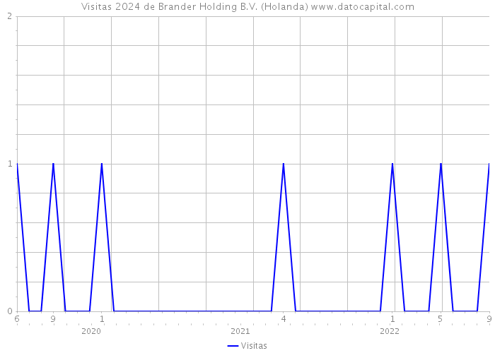 Visitas 2024 de Brander Holding B.V. (Holanda) 