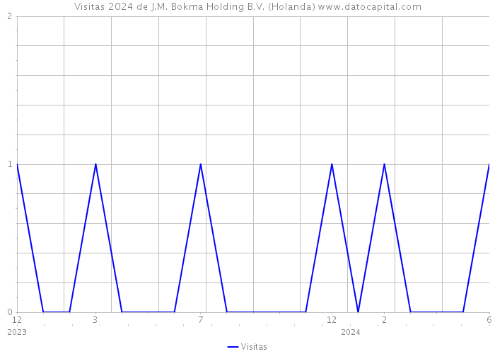 Visitas 2024 de J.M. Bokma Holding B.V. (Holanda) 