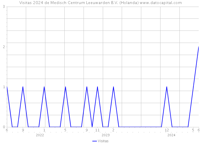 Visitas 2024 de Medisch Centrum Leeuwarden B.V. (Holanda) 