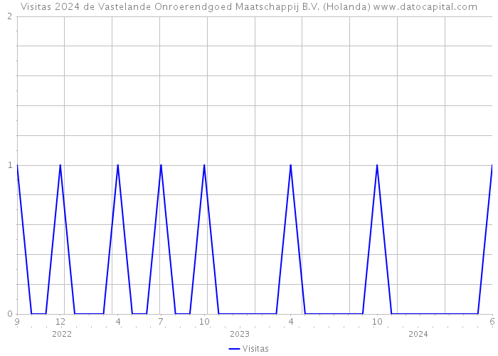 Visitas 2024 de Vastelande Onroerendgoed Maatschappij B.V. (Holanda) 